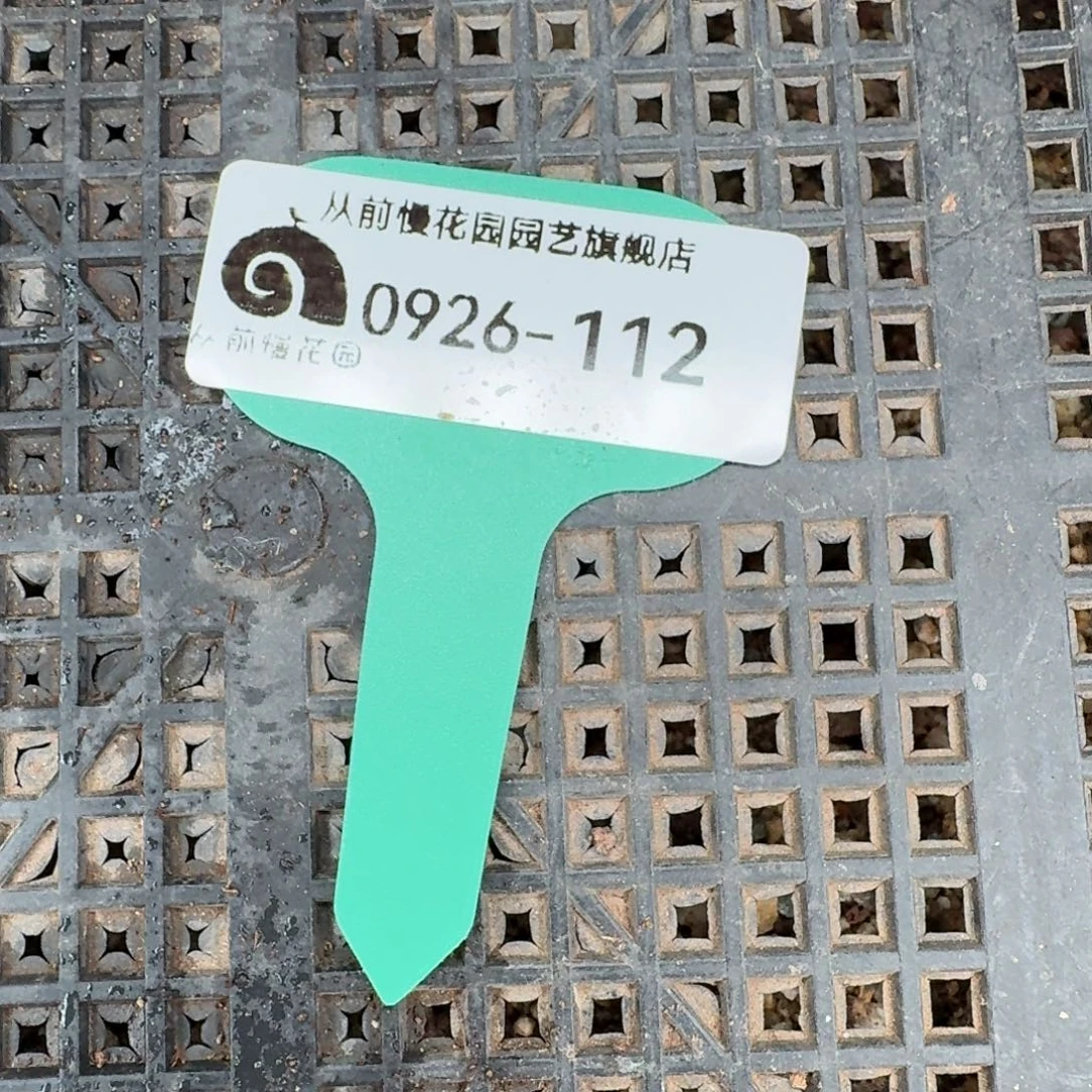 从前慢多肉精选超级0926.112