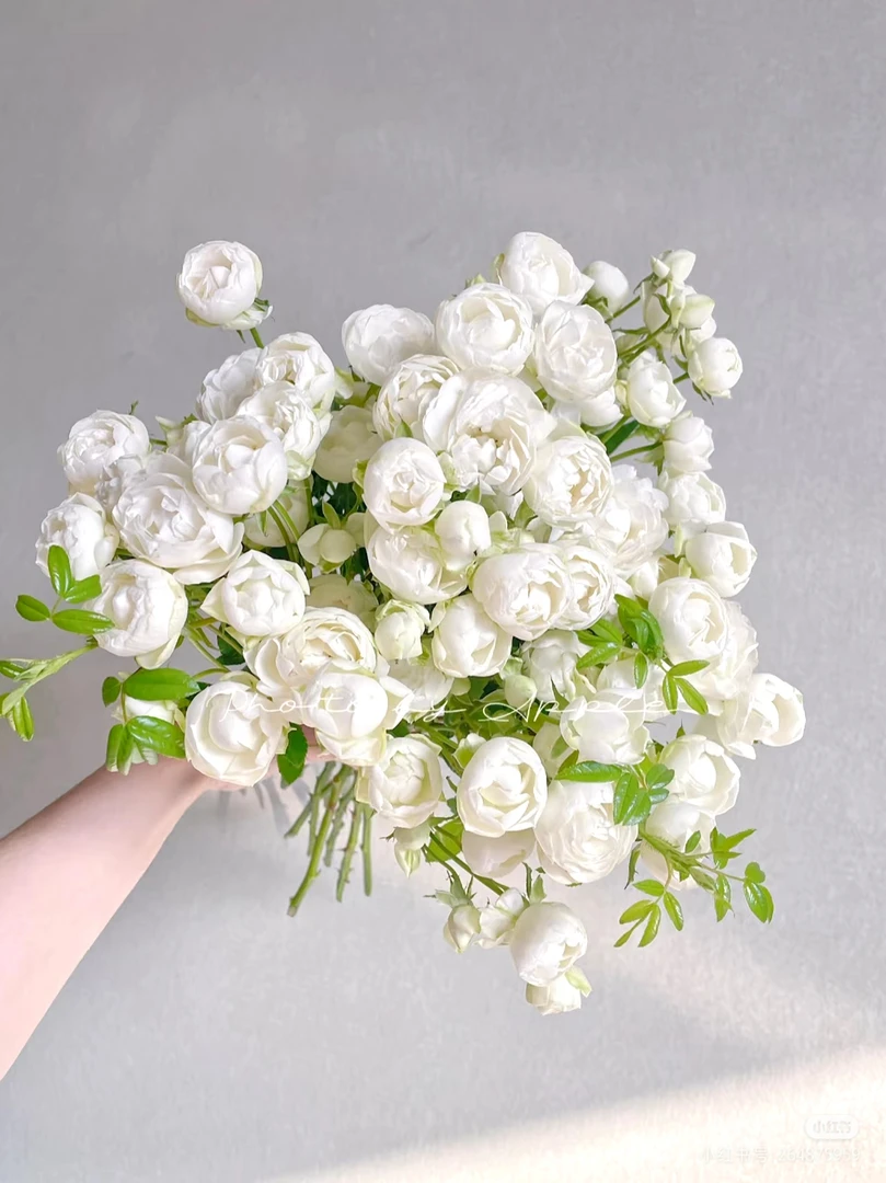 白泡芙10支  两单包邮