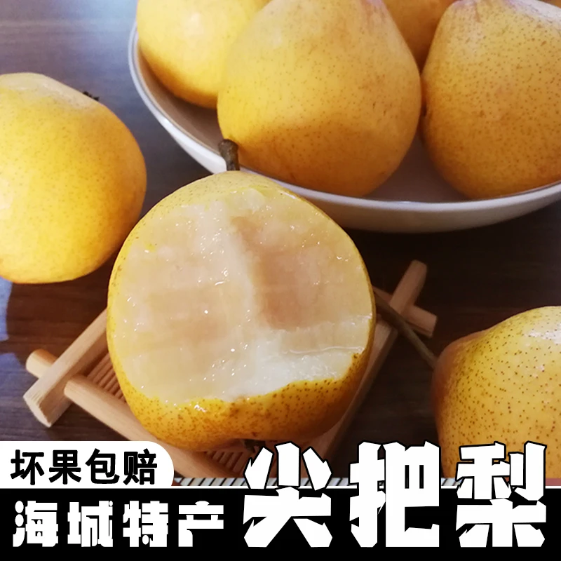 鞍山特产海城尖把梨放软吃酸甜多汁细腻无渣可做冻梨5斤包邮