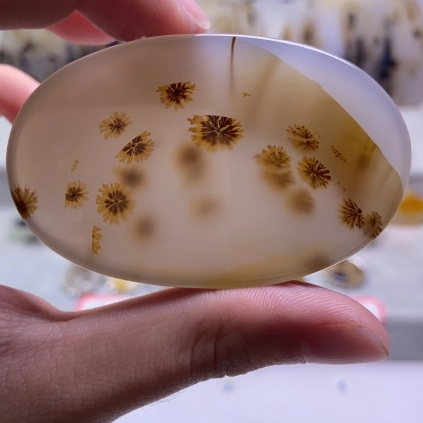 【闪购商品】玛瑙/玉髓颈饰未镶嵌