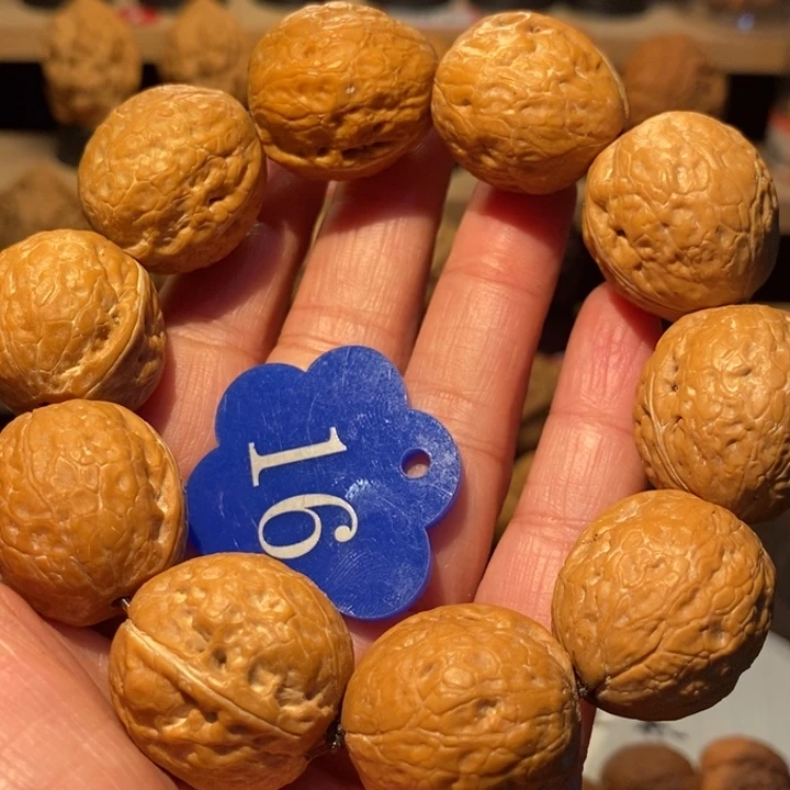 木质类铁龙珠24尺寸