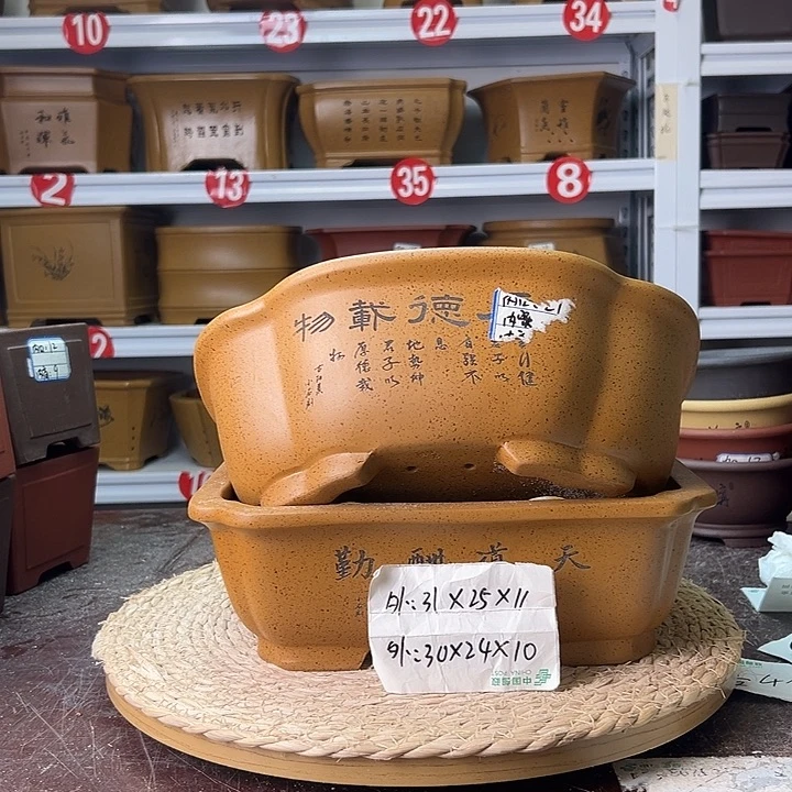 花盆紫砂蛇年大吉