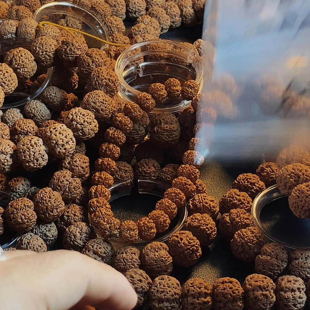 金刚菩提手串星*龙骨梅花