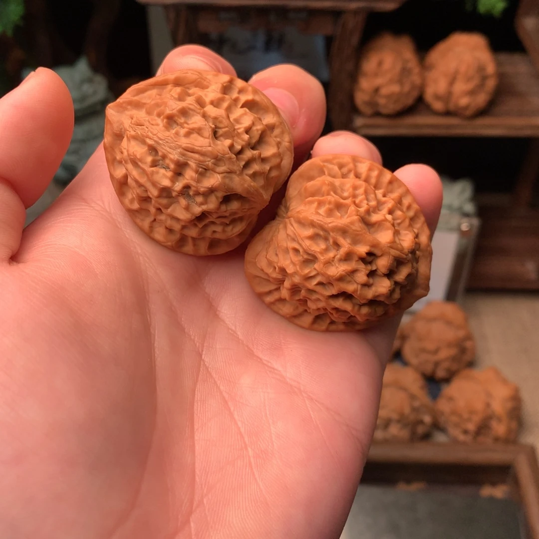 核桃40尺寸秦公子