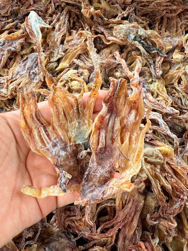 生晒鱿鱼头 鱿鱼须 爆炒好食500克