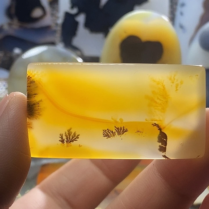 未镶嵌颈饰玛瑙/玉髓都****n