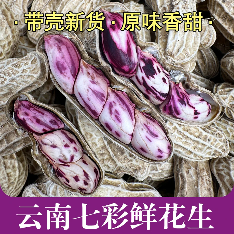 云南七彩花生 新鲜花生云南普洱 香甜富含花青素 2斤装