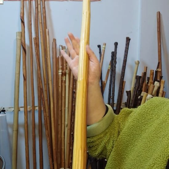 三***人秦岭石山红荀子，牛筋木