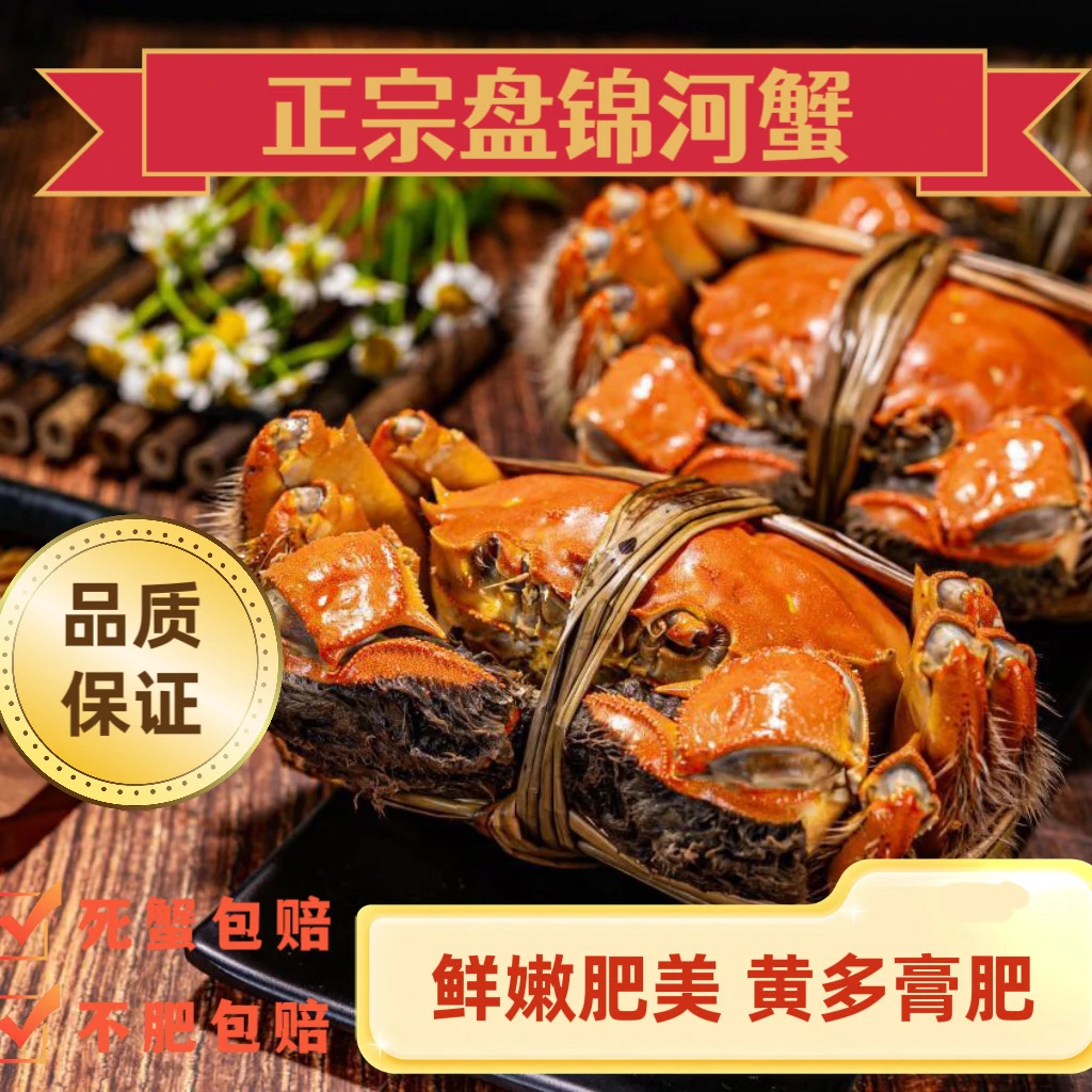 【鲜活】盘锦稻田蟹全母【1.0—1.3两】3斤冷链空运运输 鲜活发货