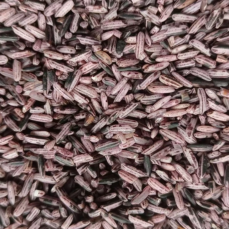 十六州云品紫糯米