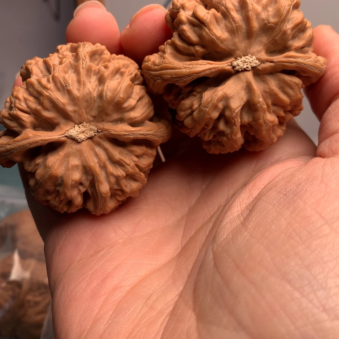 一***人粗筋12根一条两块三