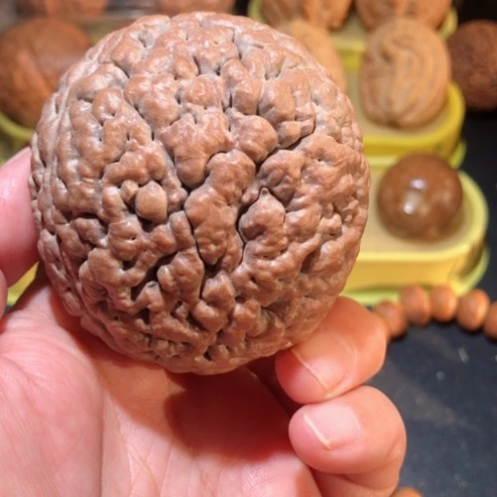 文玩核桃把件祚*姐单只金刚菩提