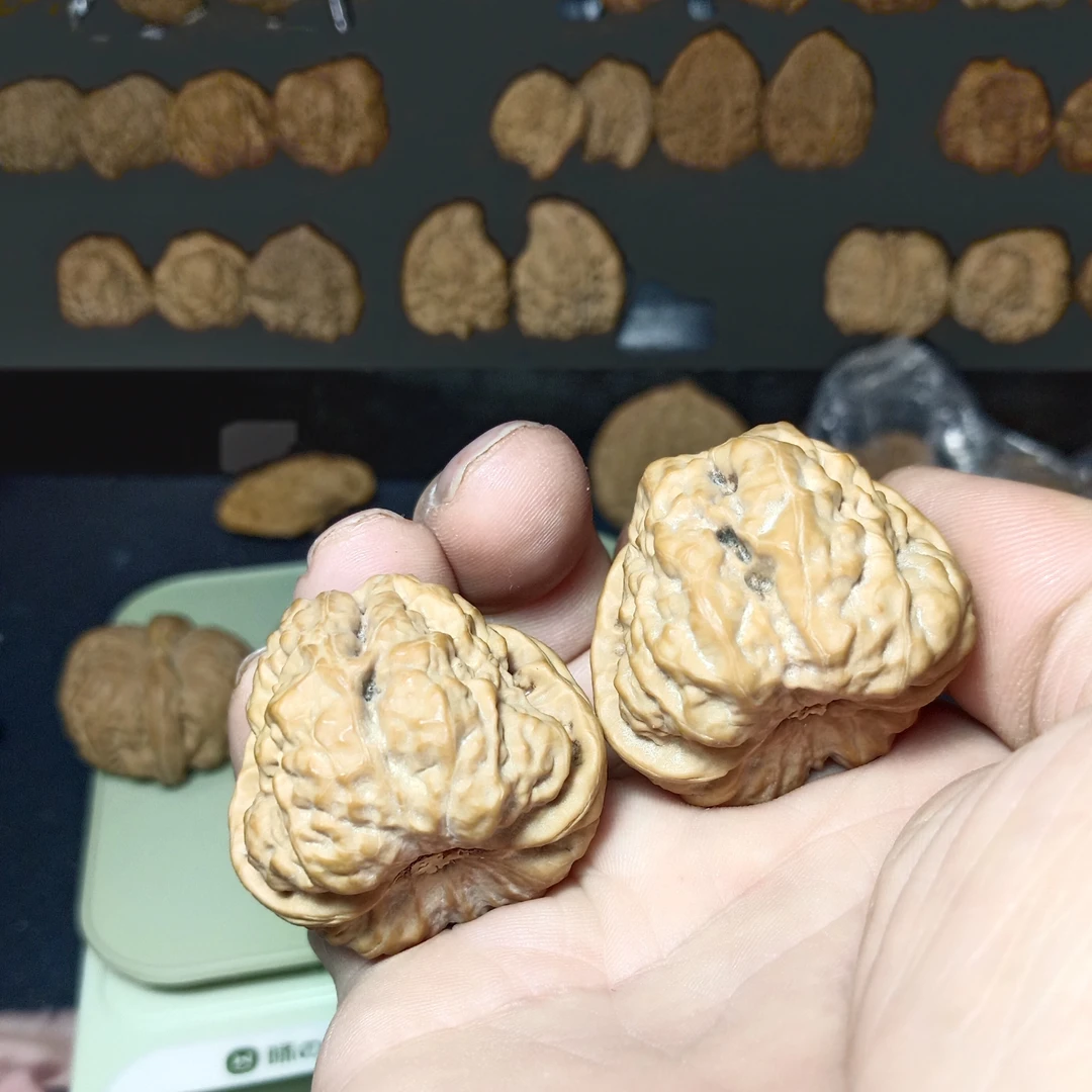 3.9蛤蟆头精品对，骨质非常好