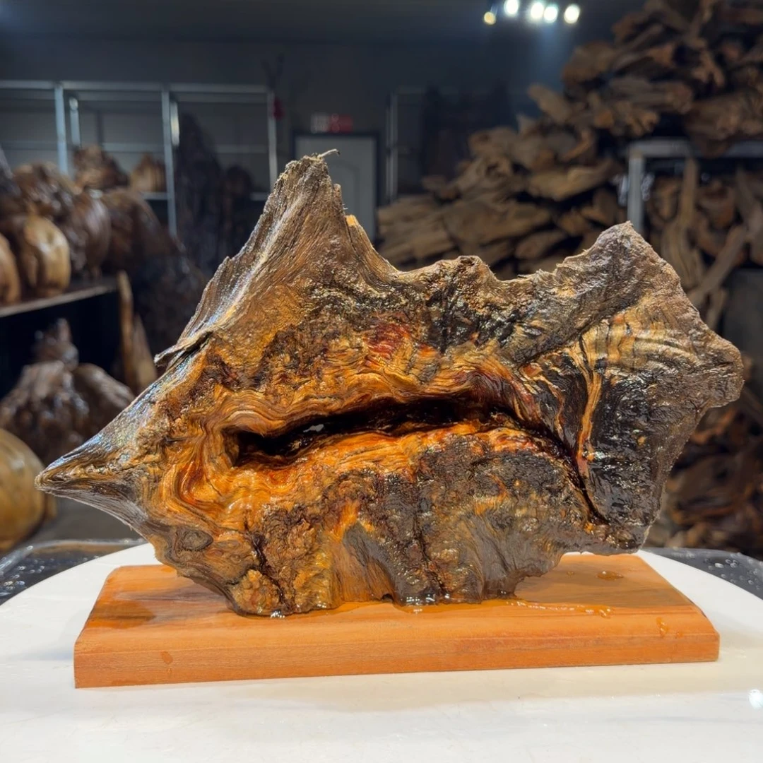 ゛***子木王一刀琥珀木摆件B50