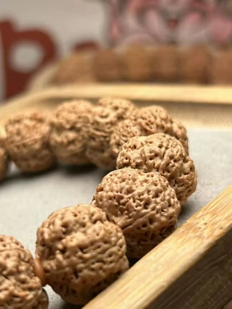 尼泊尔巨肉菠萝蜜蜂王