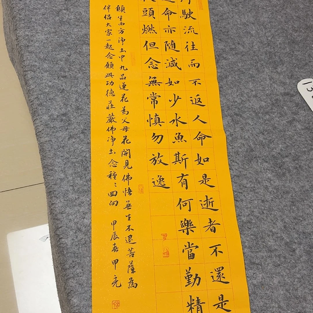 书法吉林申甲亮110+34