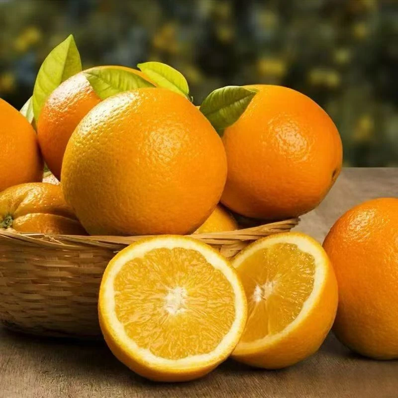 江西赣南正宗脐橙新鲜现摘香甜爆汁当季水果（10斤装）（20斤装）