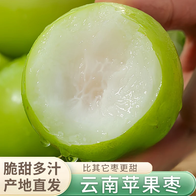 云南西双版纳新鲜苹果枣应季水果肉厚鲜甜爽口大青枣