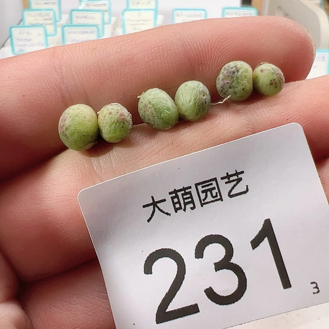 0000231 一物一拍……