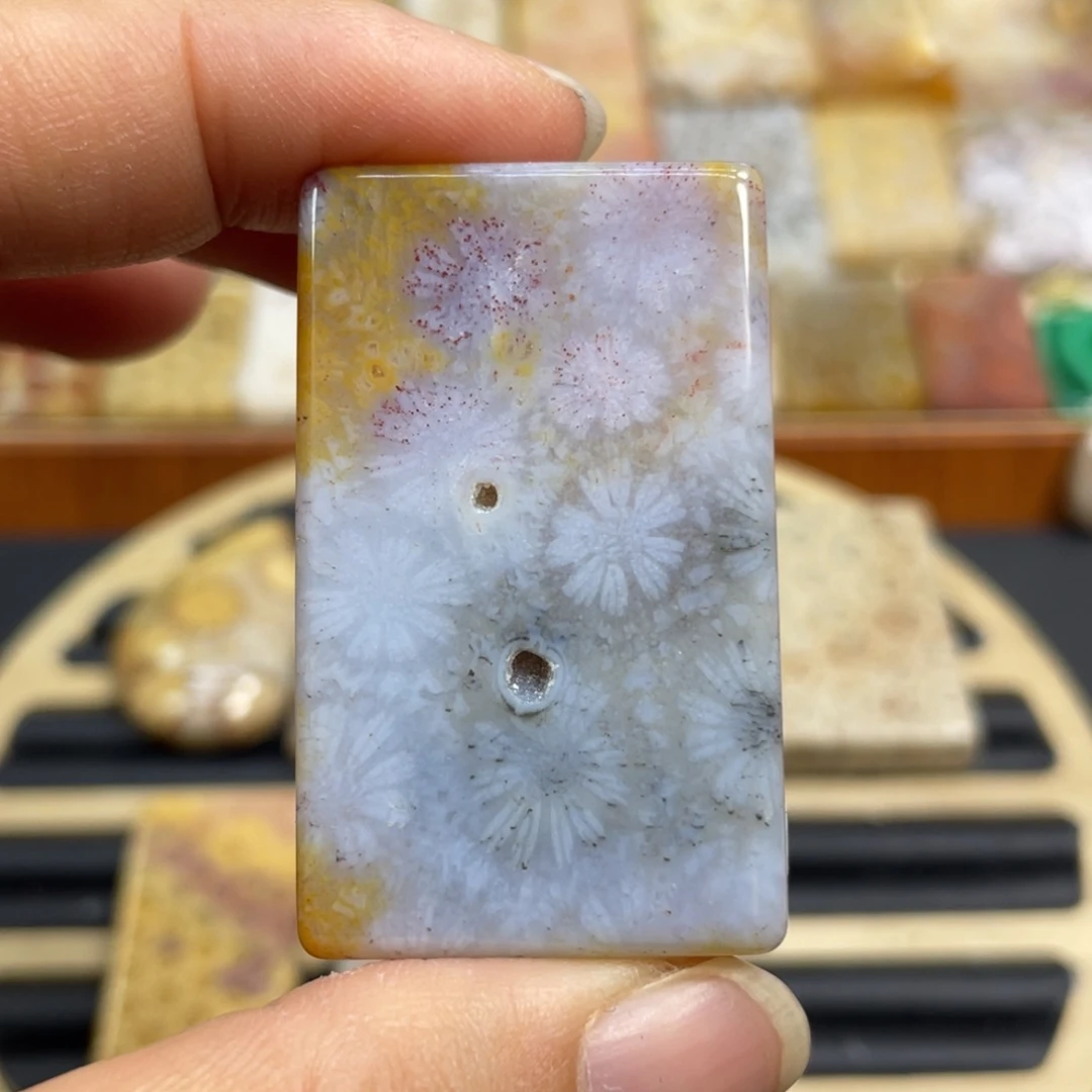 硅化玉未镶嵌颈饰k67