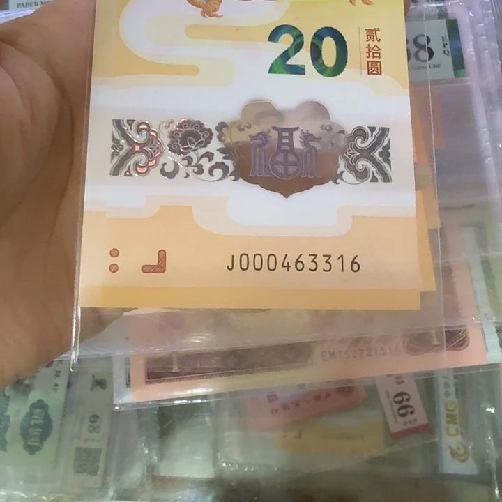塑料000463316小龙钞小司令