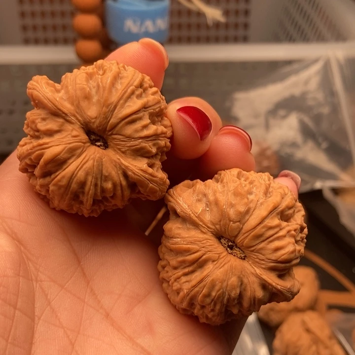 核桃40尺寸泥鳅背