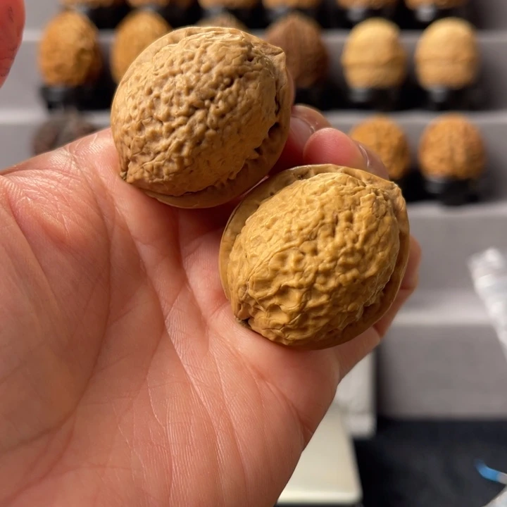 文玩核桃把件14-19