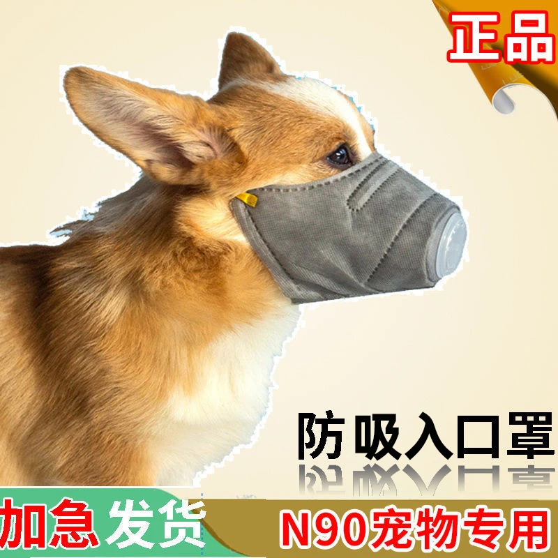 宠物口罩防投毒狗狗防乱吃嘴套金毛柯基大型泰迪比熊小型犬专用