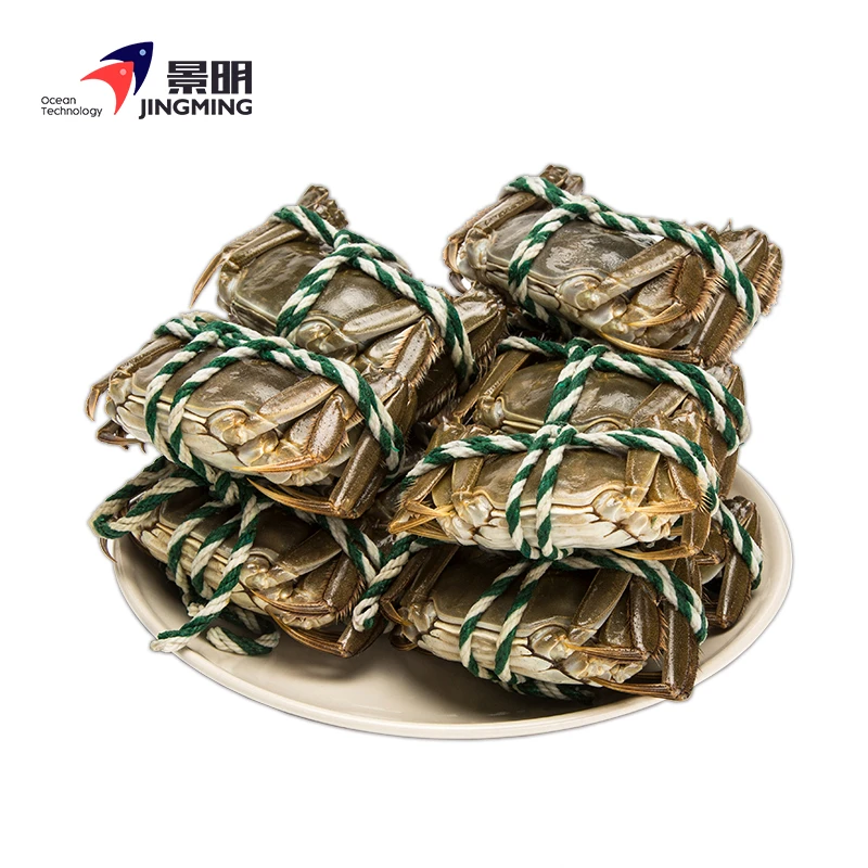 【活蟹】景明黄河口大闸蟹 2.0-2.3两精品母蟹 共10只 中秋礼盒装
