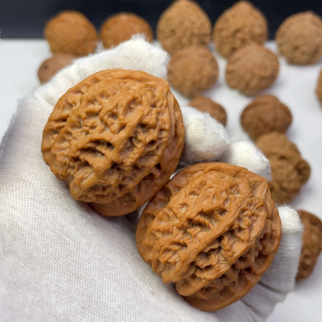 核桃39野生将军有修