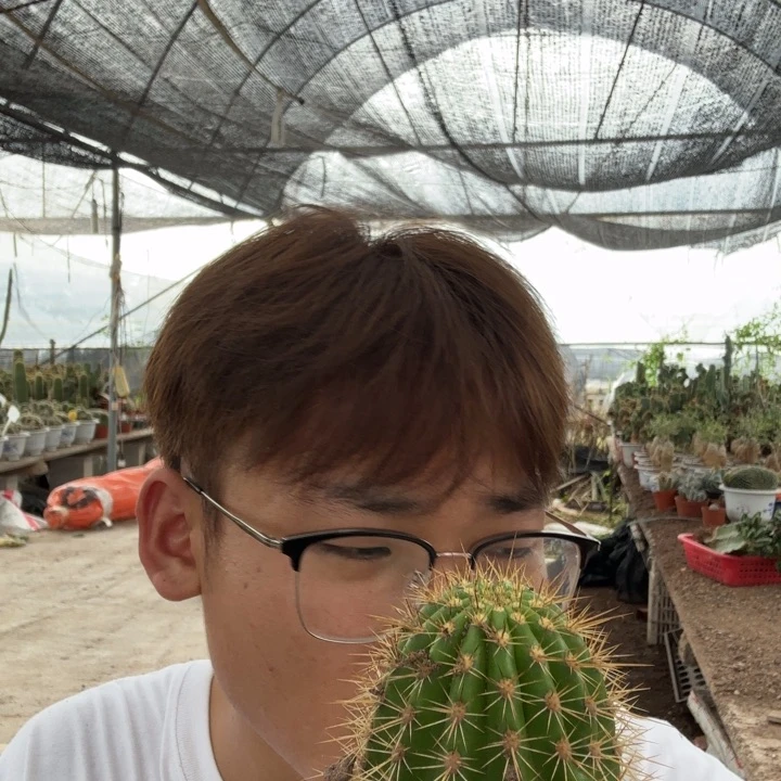 清****苏乞儿哈哈哈哈哈哈