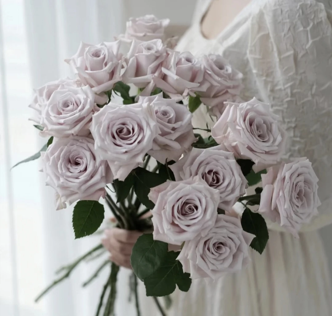 【曼塔】不拍保温棉冻损不售后玫瑰花沈阳晓全花行