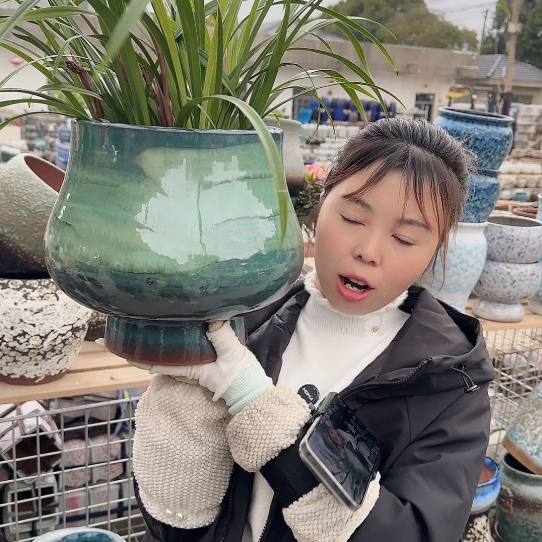 王嫂花盆1202-154高25口22