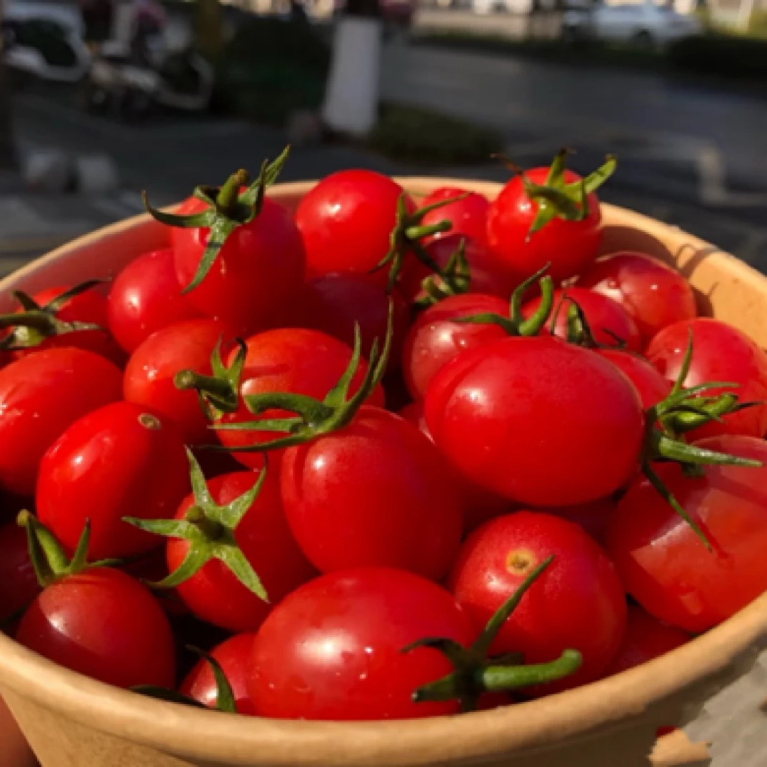 玲珑小番茄 三高人群最爱一盒300g番茄同城配小番茄北京市