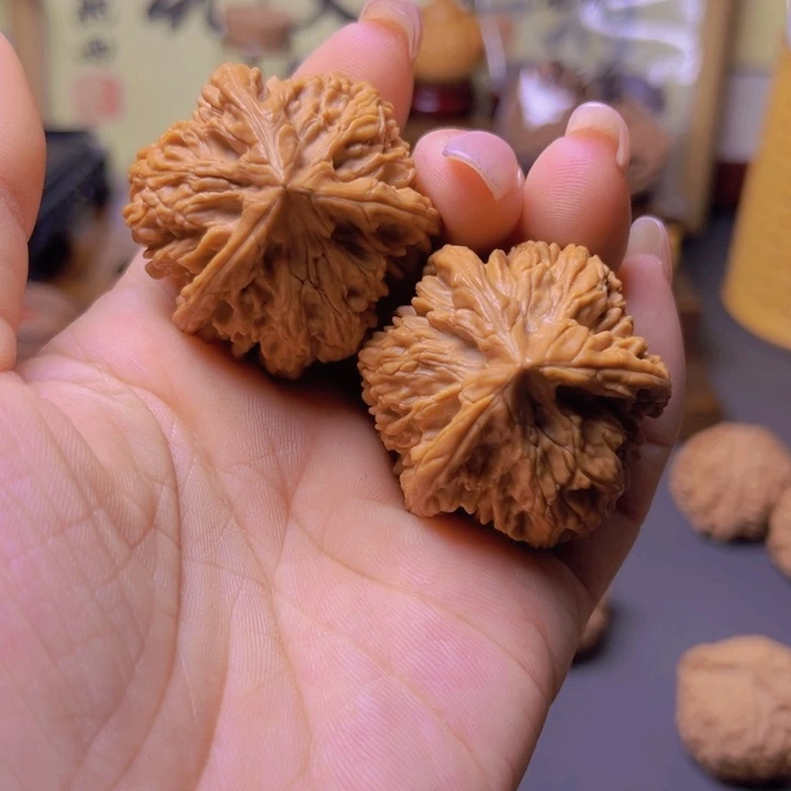 核桃专用链接，文山三棱