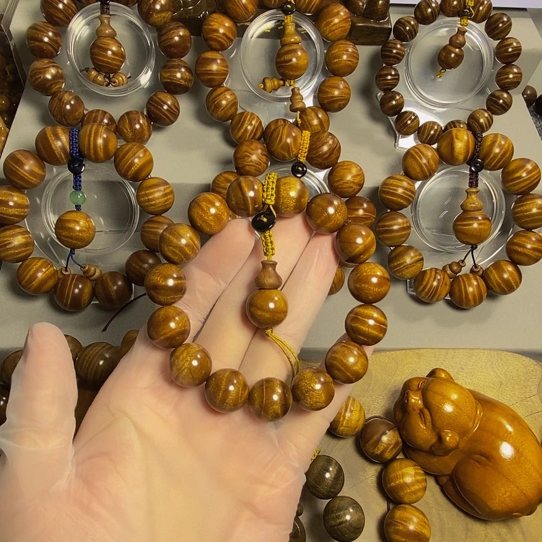 埋***面金丝楠金丝楠小叶桢楠1.5