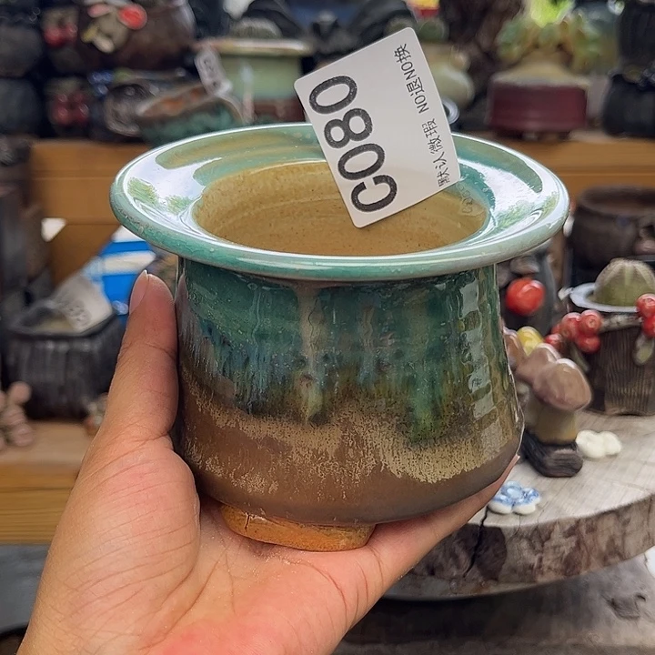 哈哈好喜欢的节目080