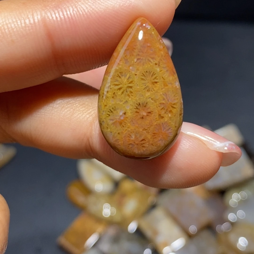 【闪购商品】硅化玉珊瑚玉未镶嵌