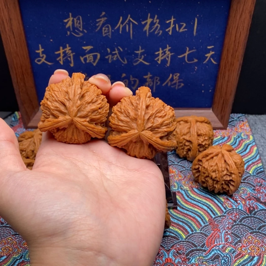 【闪购商品】不****鱼白狮