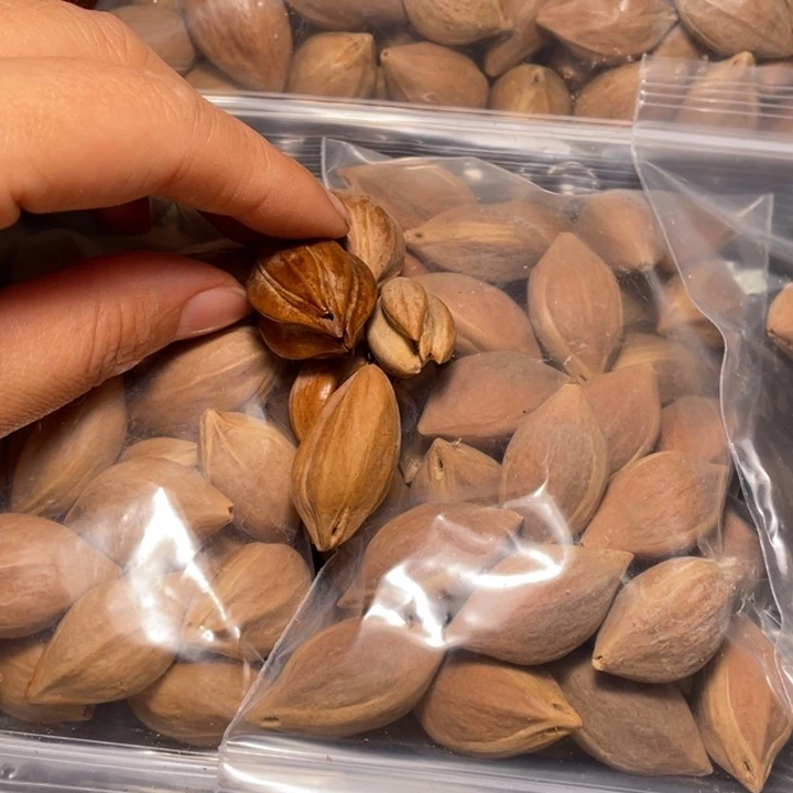北***焙吊坠橄榄核不退不换