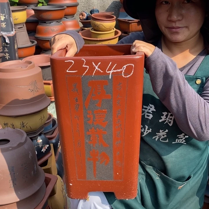 紫砂花盆盆栽花卉苗木种植