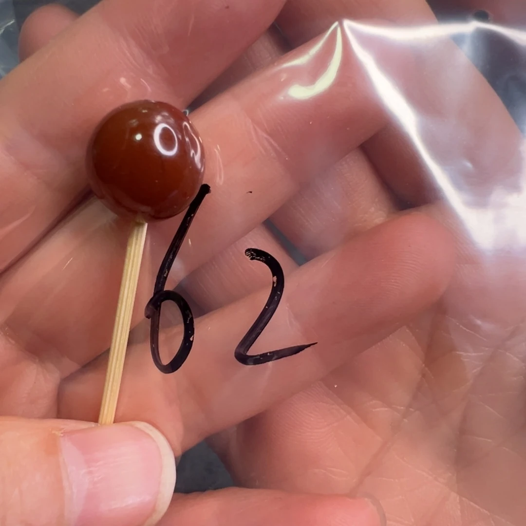 南红玛瑙未镶嵌配饰62号