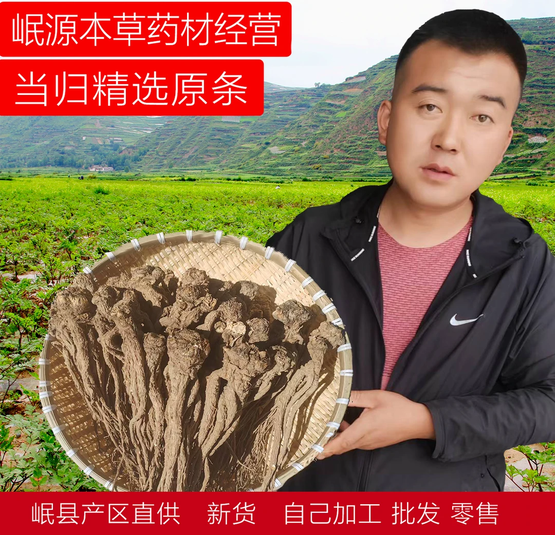 甘肃岷县特级整根当归原条无硫熏可煲汤泡酒滋补气血中药材