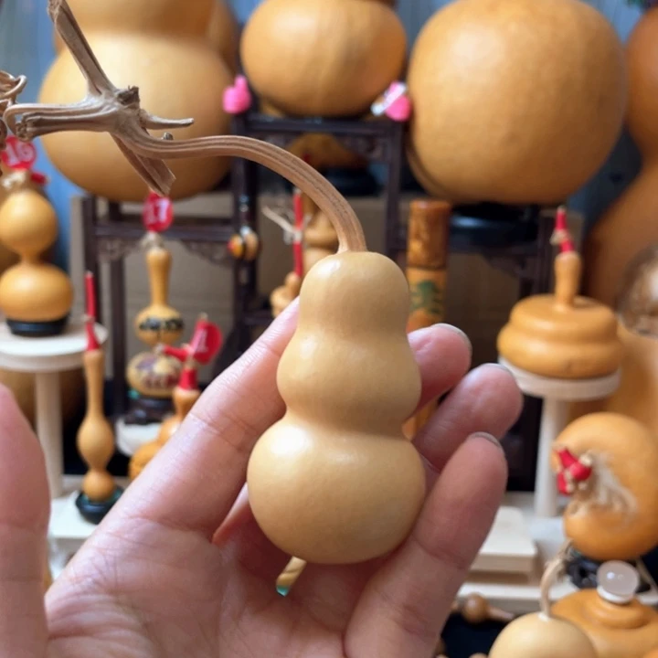 无***敌在线求推荐适合女性饮用和