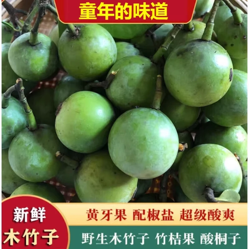 广西桐子岭纯天然野生木竹果山竹桔山枇杷黄牙果木竹子新鲜包邮