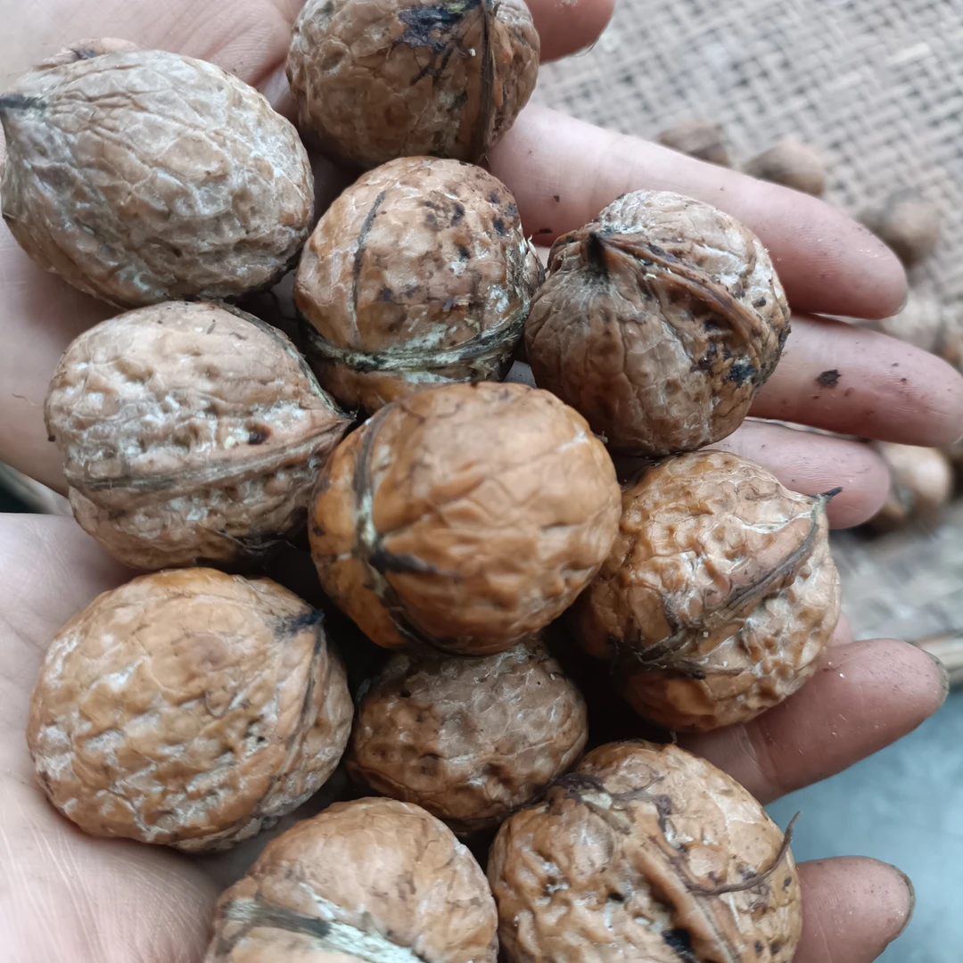 新鲜去青皮湿核桃脆壳薄皮嫩核桃孕妇零食