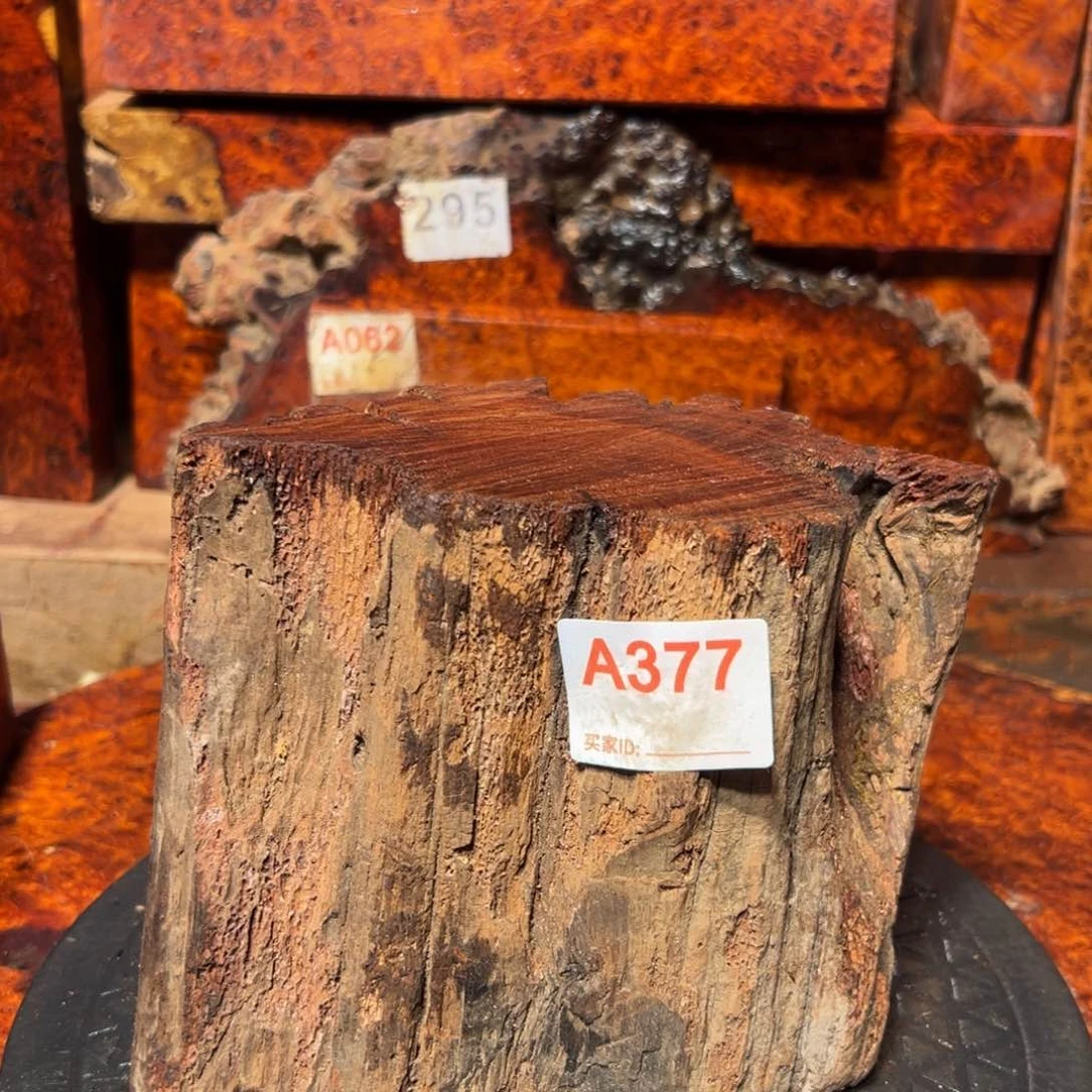 大果紫檀（缅甸花梨）