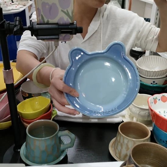 瓷高温瓷釉下彩菜盘