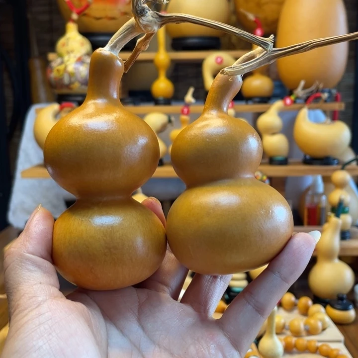 郭***岁天然葫芦自然生长