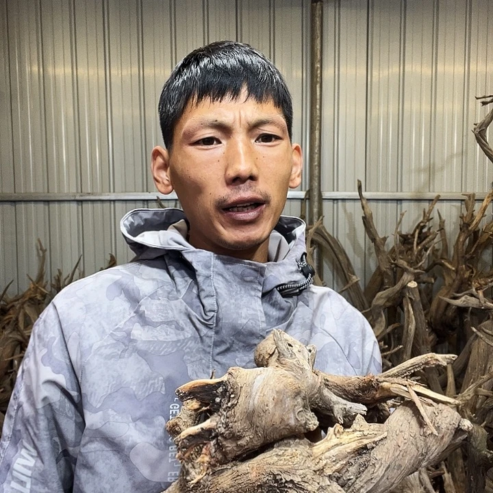 余***好崖柏双色料摆件陈料